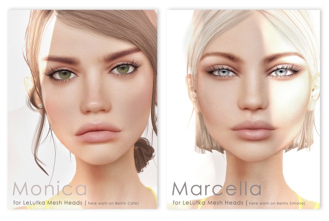 Marcella monica Vendor