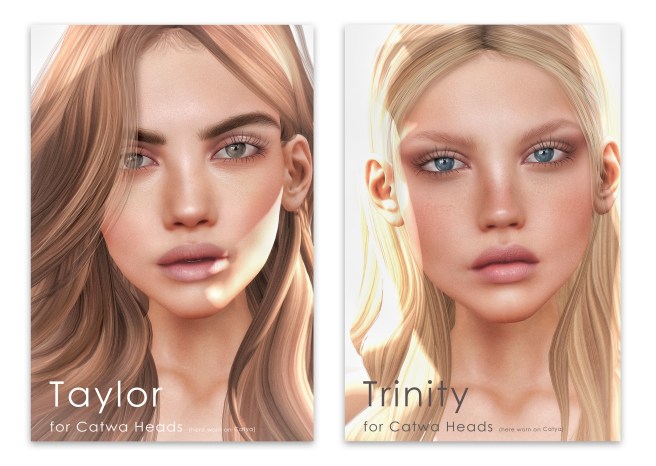 TAYLOR TRINITY Vendor