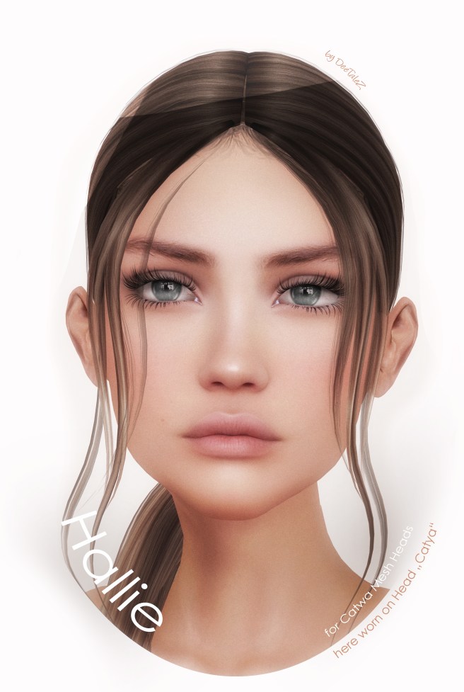 NEW VENDOR 2017 HALLIE