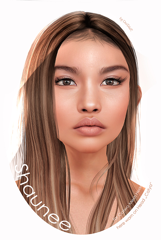 NEW VENDOR 2017 SHAUNEE k