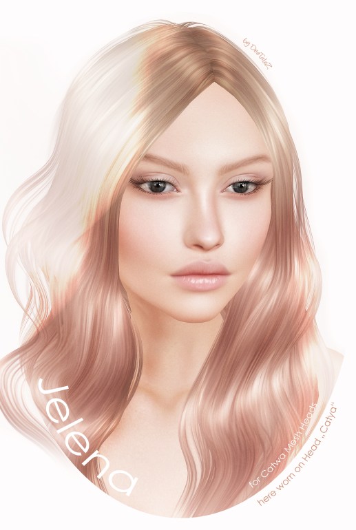 NEW VENDOR 2017 JELENA