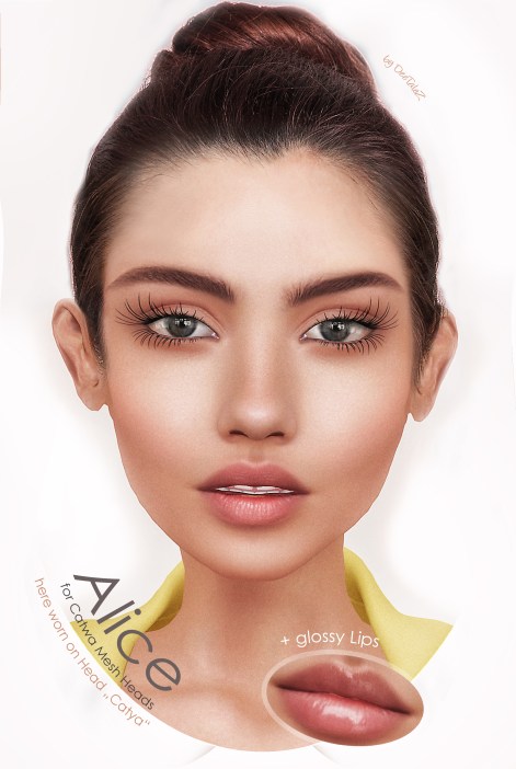 NEW VENDOR 2017 ALICE