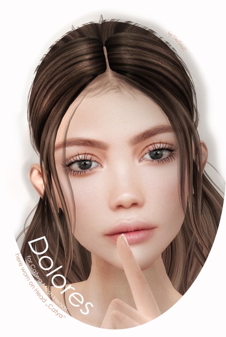 NEW VENDOR 2017 Dolores