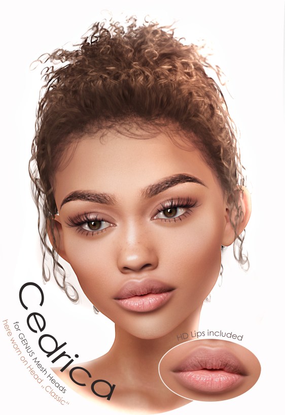 NEW VENDOR 2017 GENUS Cedrica