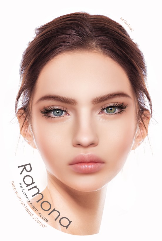 NEW VENDOR 2017 Ramona