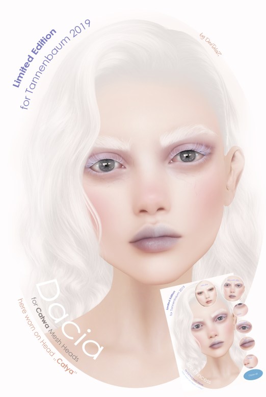 NEW VENDOR 2017 CATWA DACIA SE