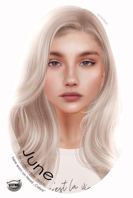 NEW VENDOR 2020 CATWA JUNE